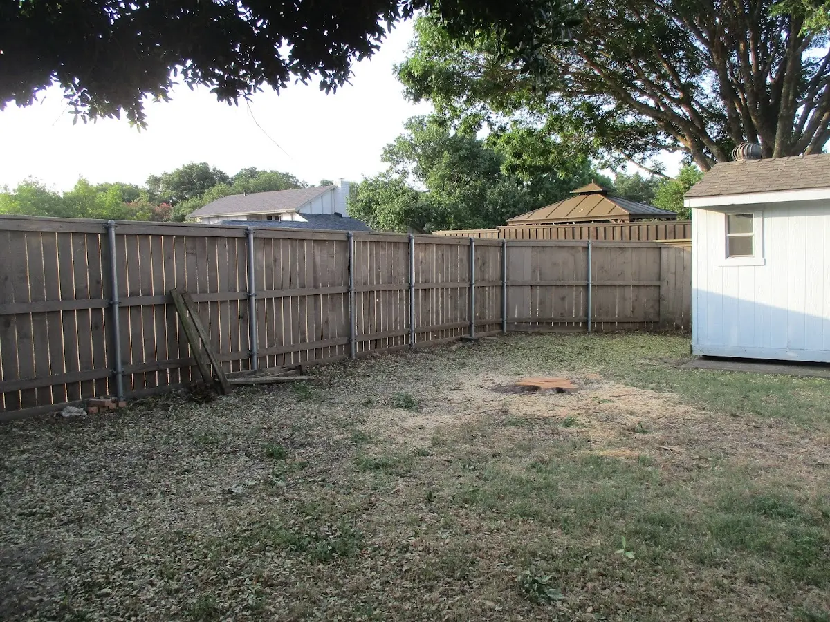 Cleared yard after professional tree removal in Egg Harbor Township