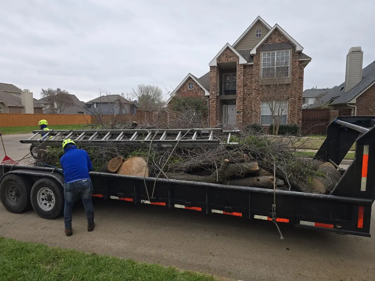 Expert Tree Removal with proper safety equipment in Egg Harbor Township